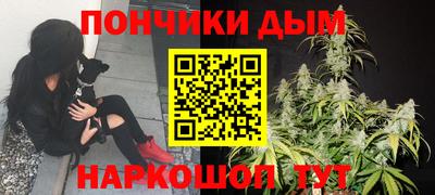 гидра Нарткала