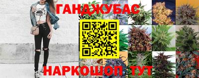 гидра Нарткала