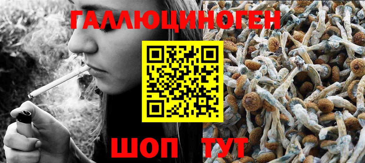Галлюциногенные грибы GOLDEN TEACHER Сальск